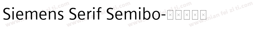 Siemens Serif Semibo字体转换